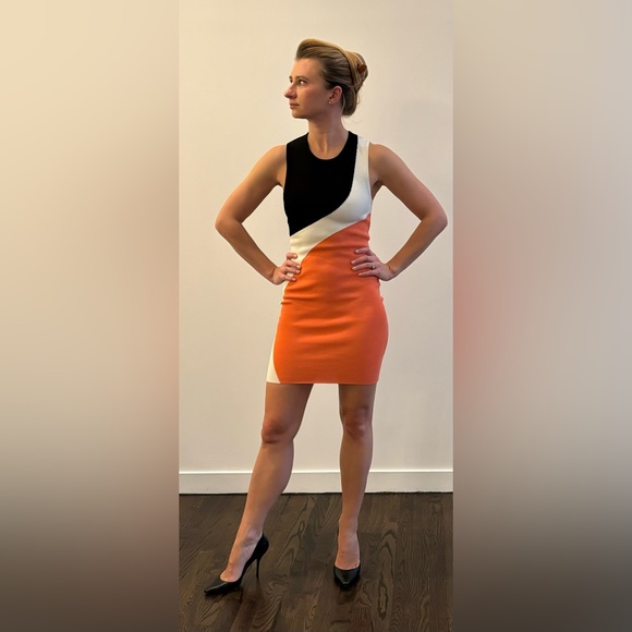 Torn by Ronny Kobo bodycon dress, size 0 - Picture 5 of 7